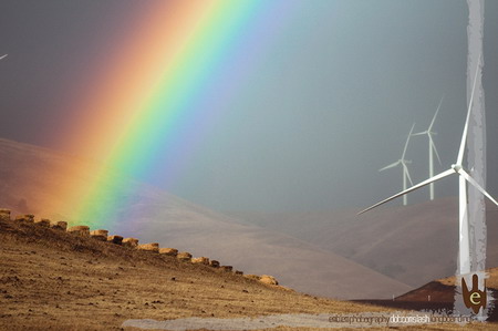 Maryhill 09-0076 resize